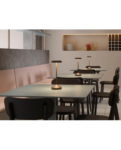 LAMPADA RICARICABILE PER ESTERNO SOPHIE